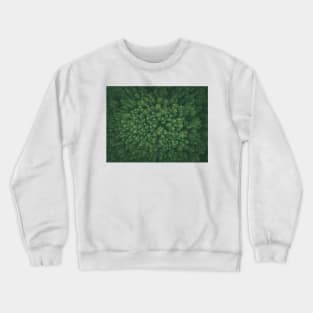 Green pine forest Crewneck Sweatshirt